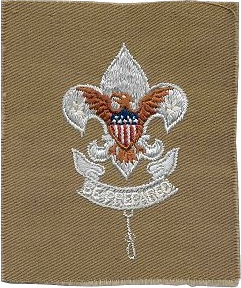 Deputy Scout Commissioner