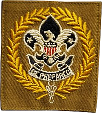 Deputy Scout Commissioner